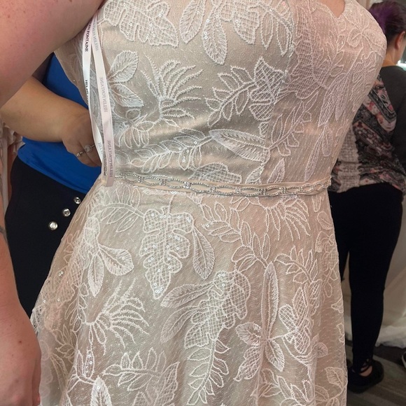 Helen Fontaine Lace Ivory over Champagne NEW - Picture 5 of 6